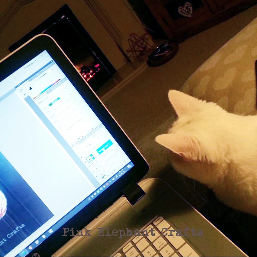 cute kitten helps edit pictures of peg dolls in photoshop